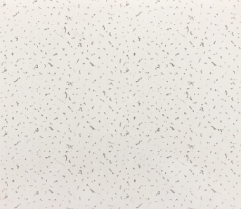 Camfly PVC Ceiling -  25B06 250mm x 4m.