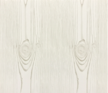 Camfly PVC Ceiling - 25B37 250mm x 4m.