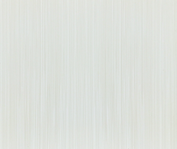 Camfly PVC Ceiling - 25M01 250mm x 4m.