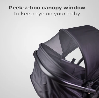 Onida Flex II Stroller - Black