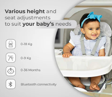 Royal 3 in 1 Swing and High Chair - Grey