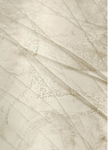 Translucent Marble Board W10931A Specification: 1200mm * 2400mm * 5.5mm